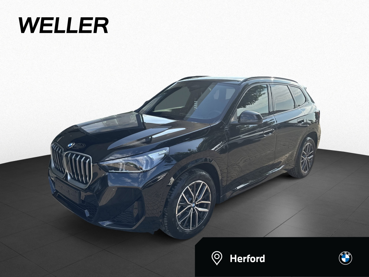 X1 sDr20i MSport ada.LED AHK LkHz DrAss PaAss