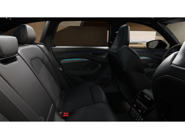 Avant e-hybrid quattro S line Tech Pro Luftfahr 10