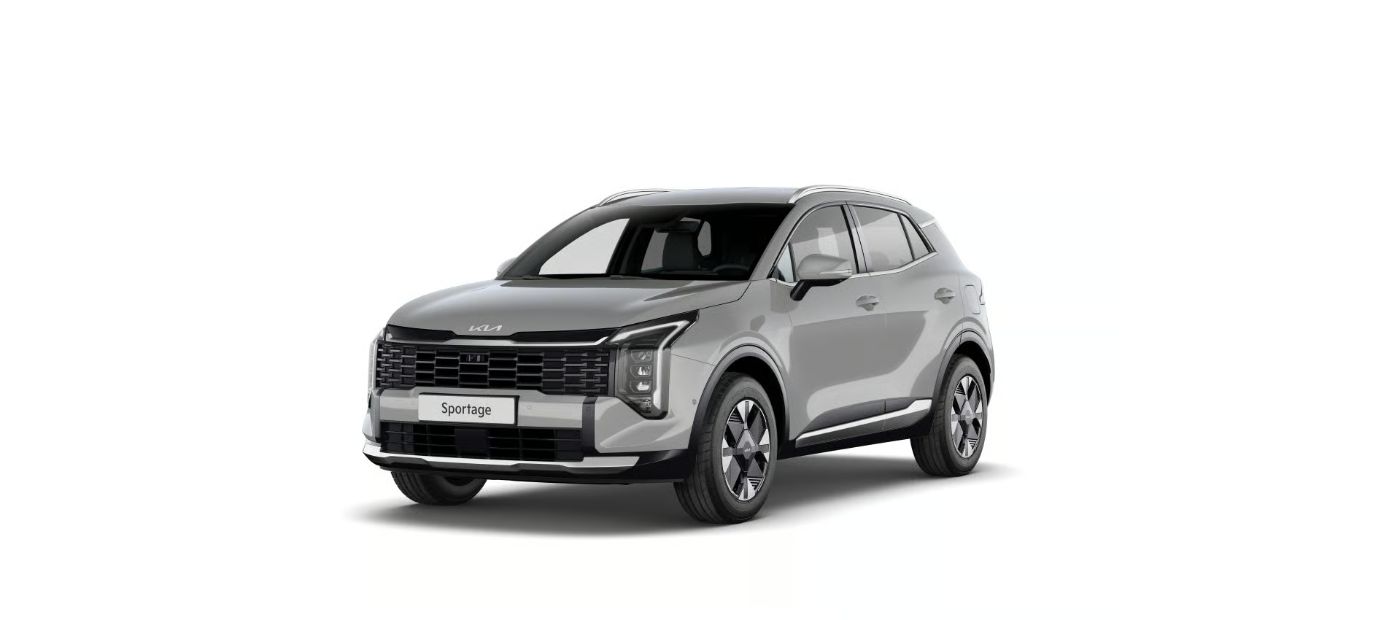 Vision Rückfahrkamera, Navi, 17 Zoll LM