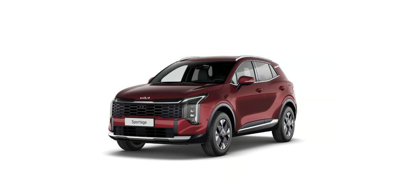 Vision Rückfahrkamera, Navi, 17 Zoll LM